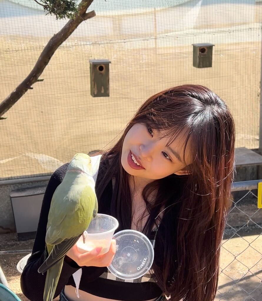 Animal Photo 1